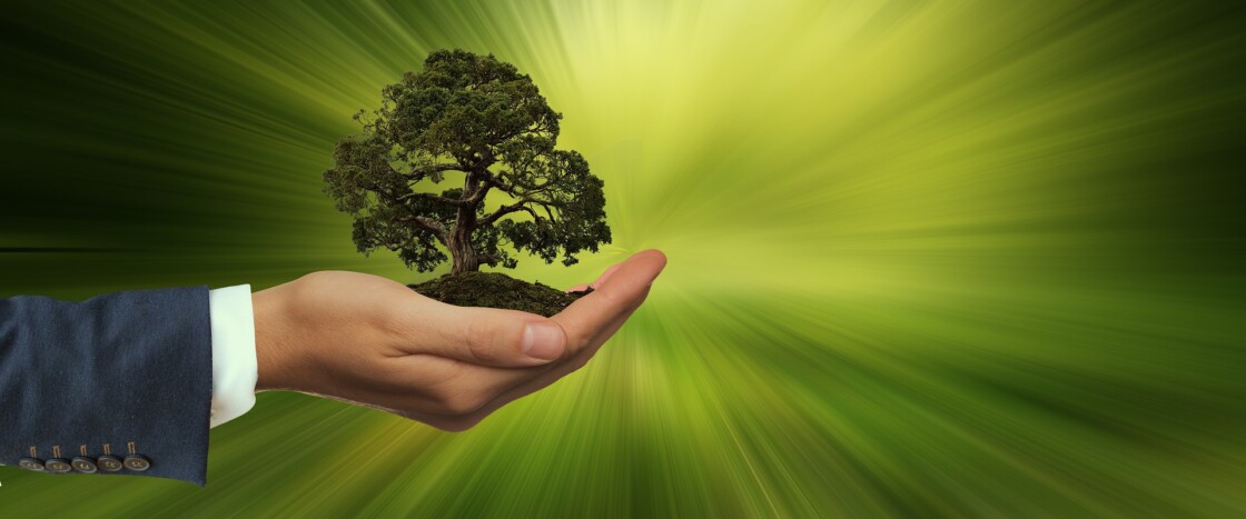 Sustainability